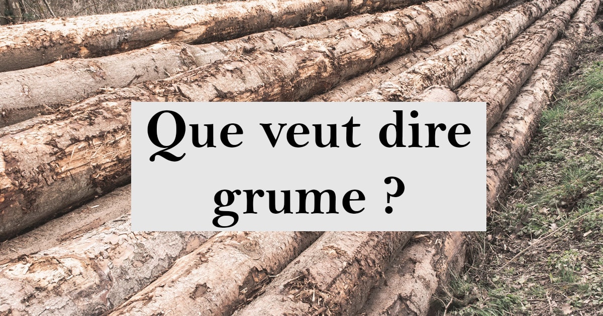 Grume Définition destination abattage de l arbre Que veut dire