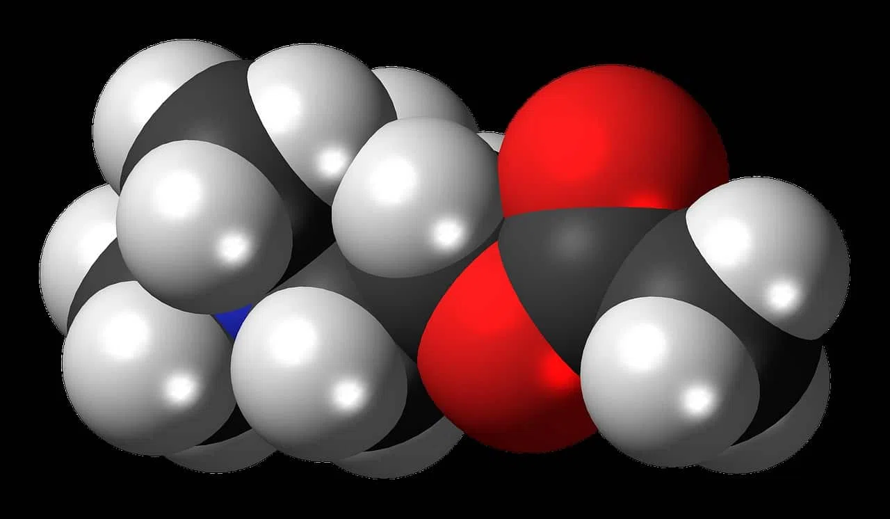 Qu'est ce qu'une neurotransmetteur ? Définition