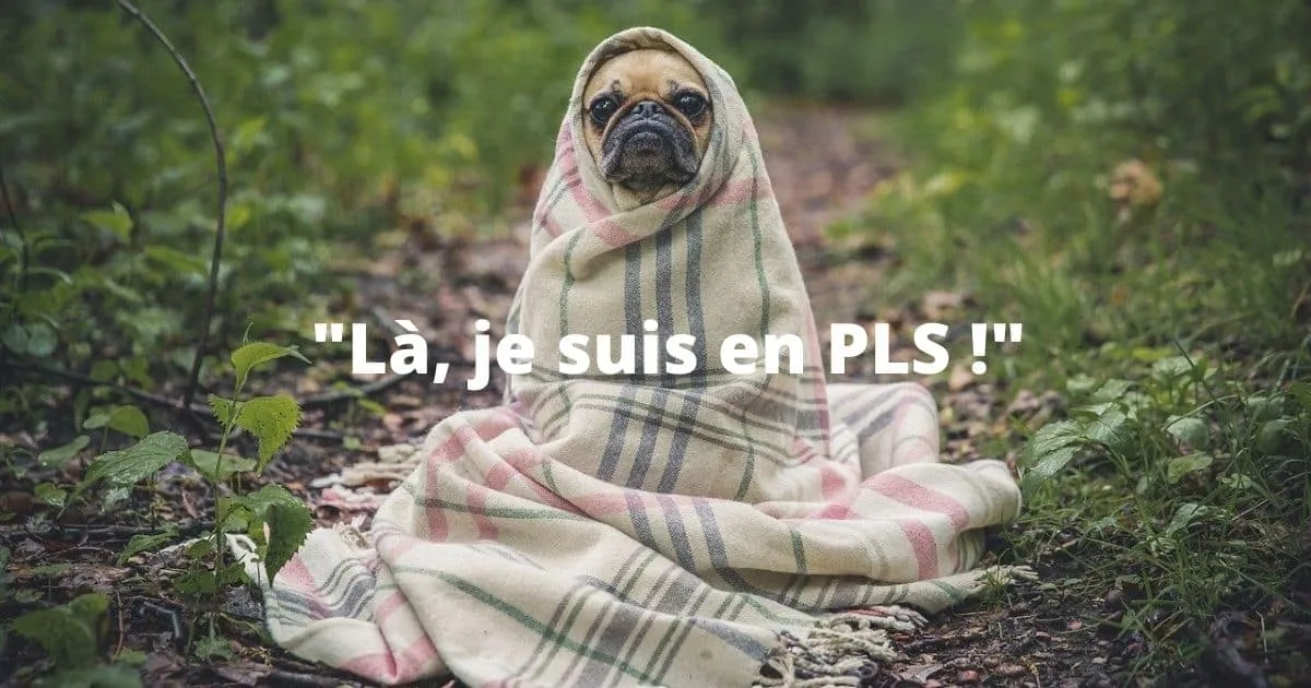 Que veut dire "Je suis en PLS" ?