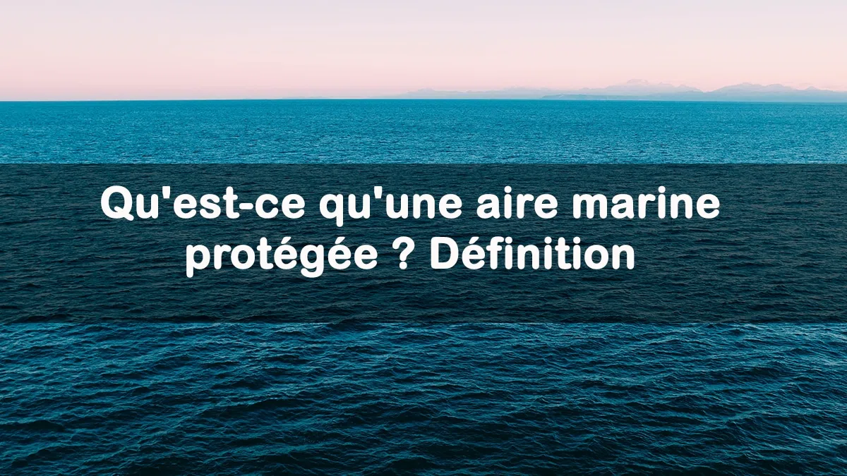 Qu'est-ce qu'une aire marine protégée ? Définition
