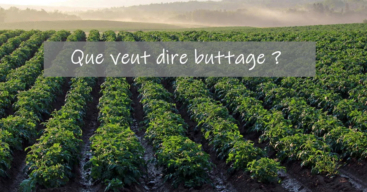Buttage définition : que veut dire butter ? Comment faire ?