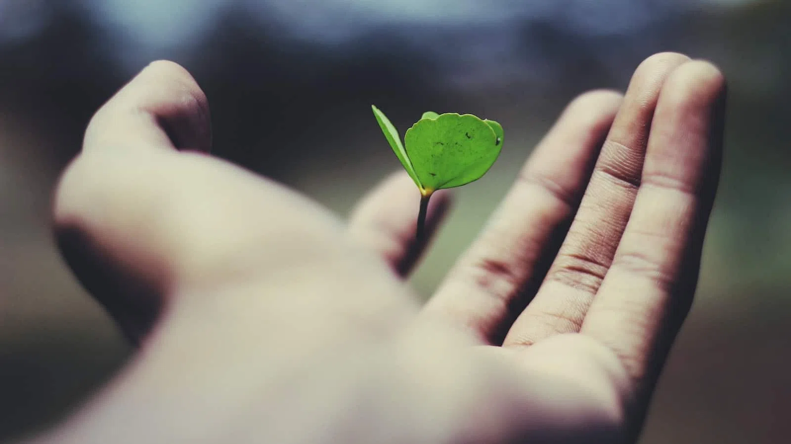 Comment cultiver une approche pragmatique de la vie ?