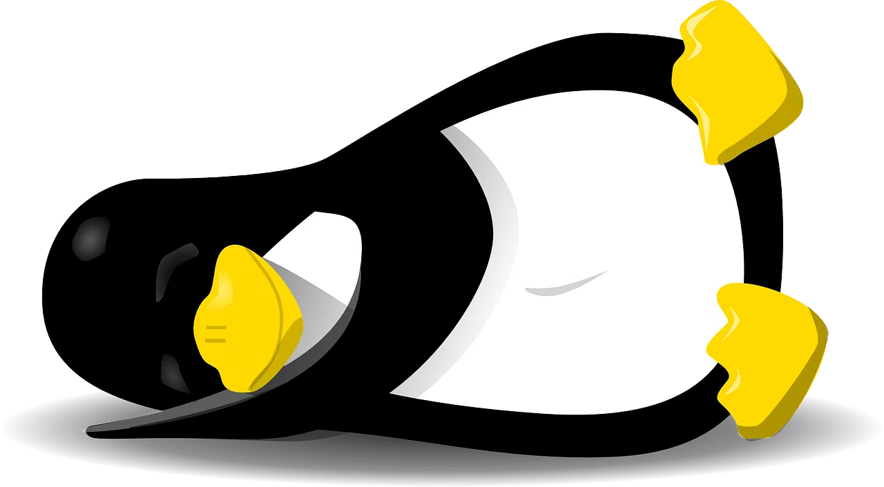 Qu'est ce que la gestion de paquets linux ? Définition