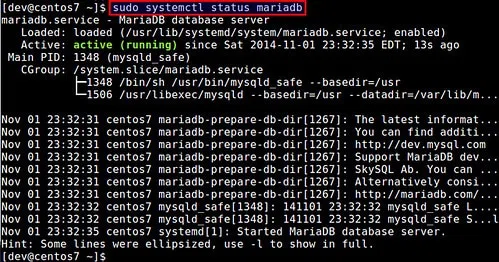 Les journaux (Logs) dans MariaDB : Définitions et explications