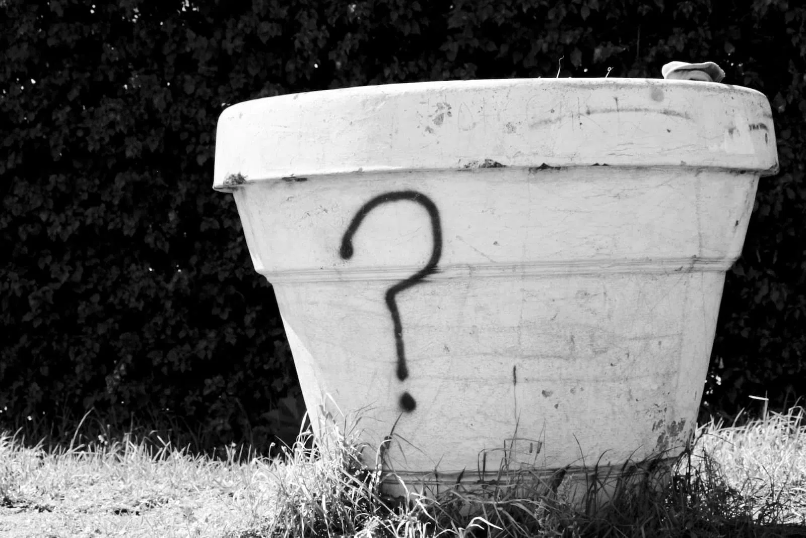 Que signifie Mazette ? Définition