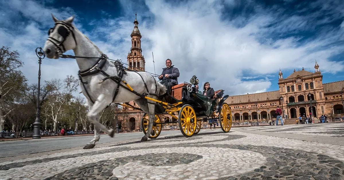 Que faire à Séville dans le sud de l'Espagne ?