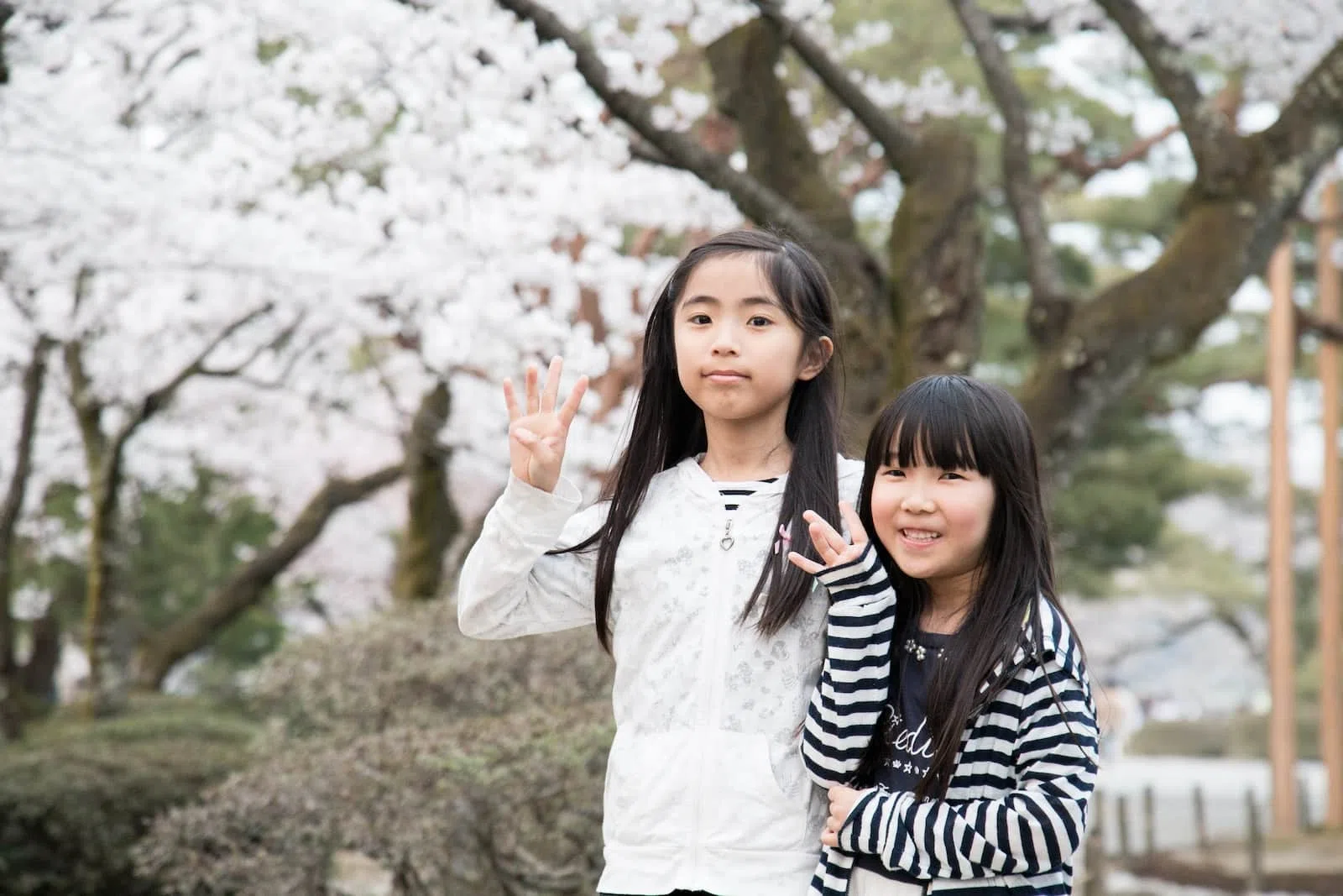 Que signifie chan en japonais ?