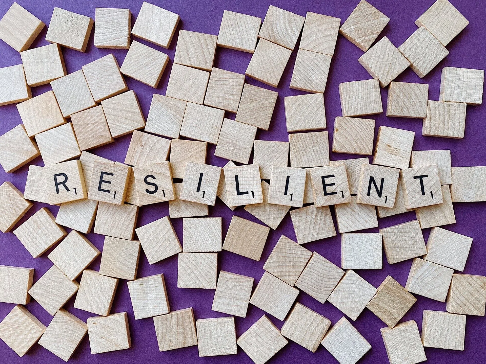 Que veut dire le mot résilience ? Définition