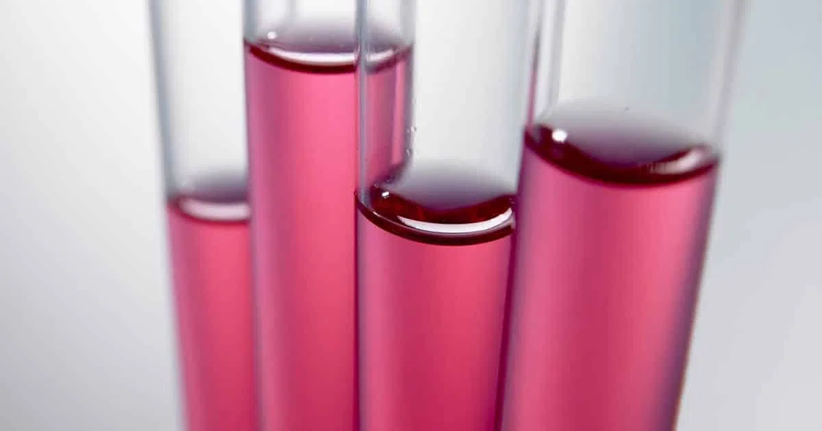 Comment utiliser les tubes en verre pour la décoration ?