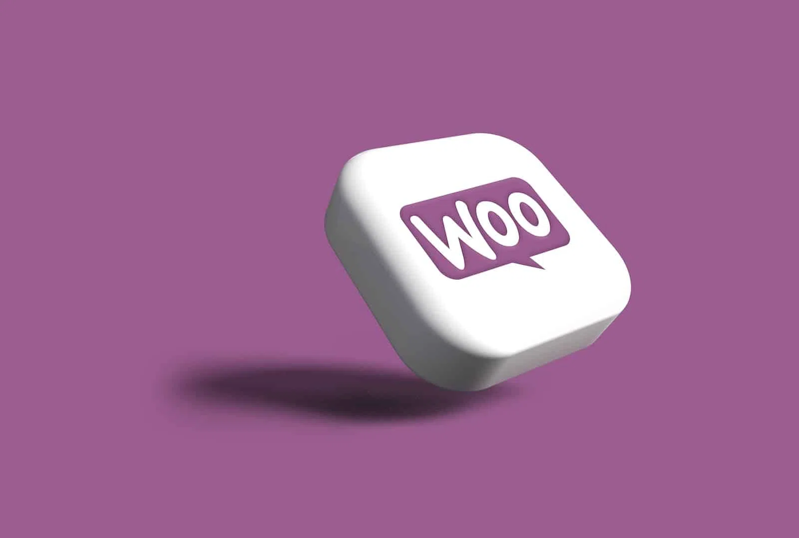 Qu'est-ce que WooCommerce ? Définition et Fonctionnement