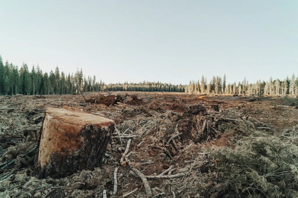 Animaux en voie de disparition Perte d'habitat