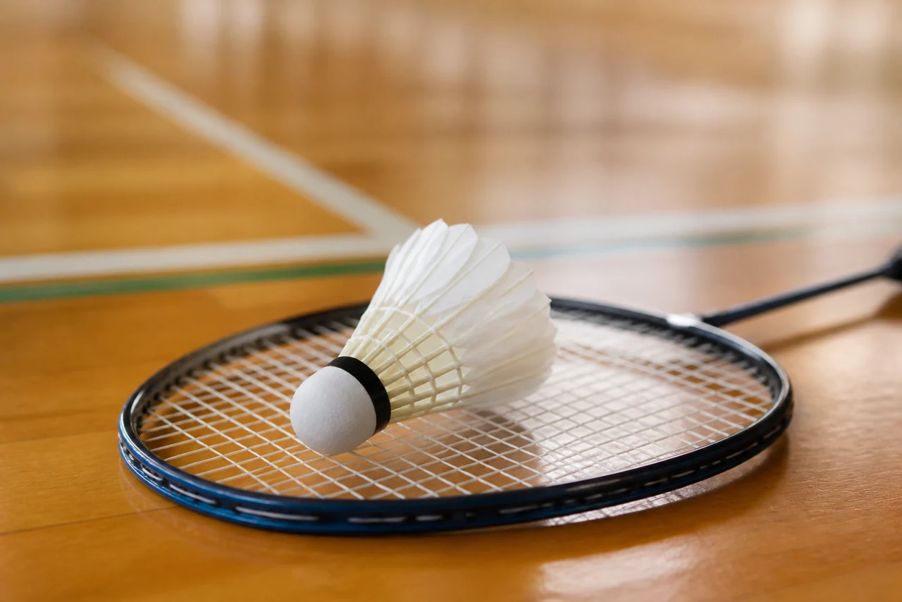 Terrain de badminton en salle avec filet, lignes de service et volant