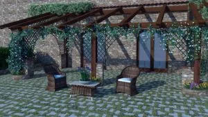 exemple de pergola avec plante grimpante