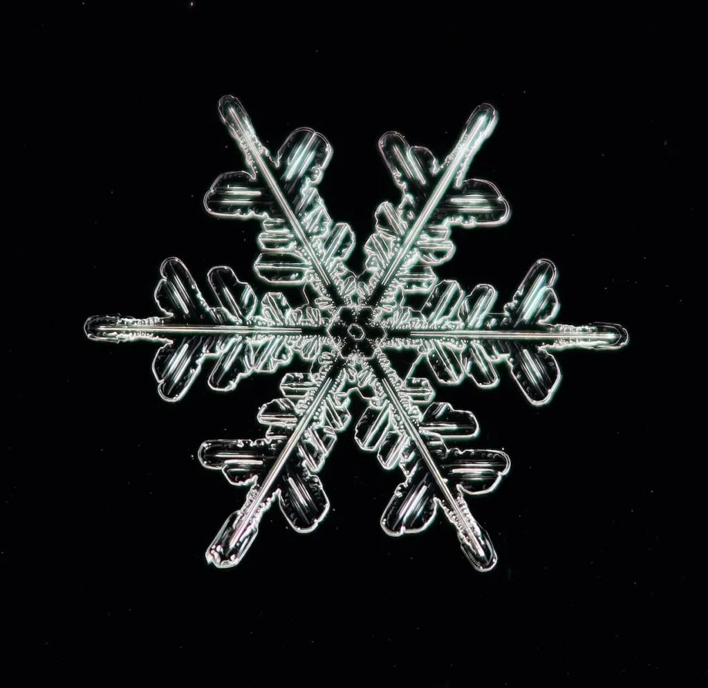 flocon de neige