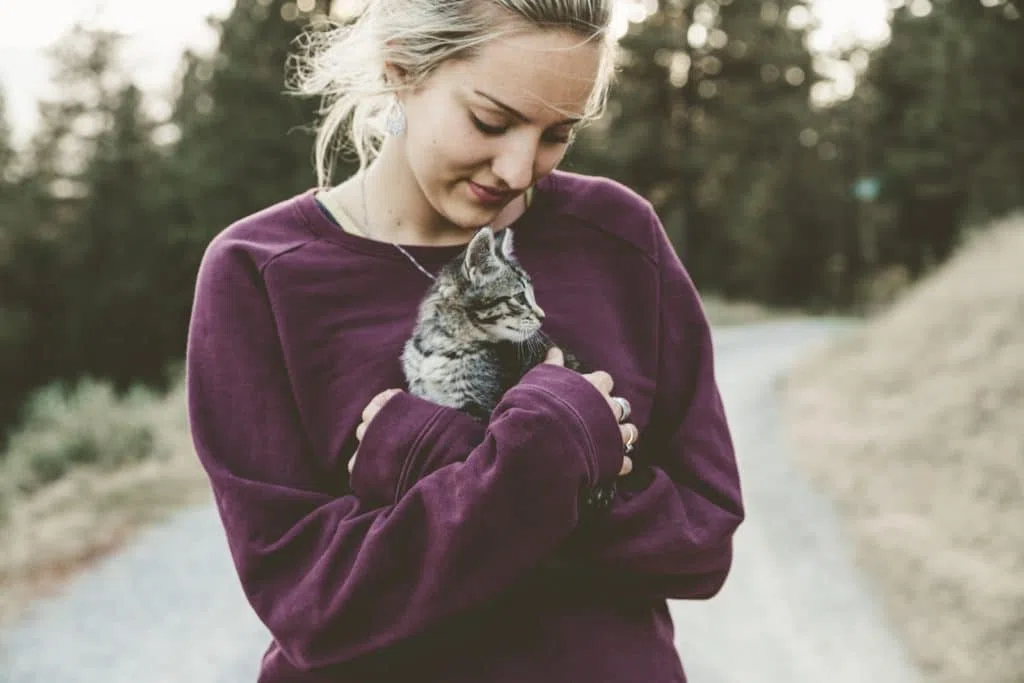 La cause animale définition Principes fondamentaux
