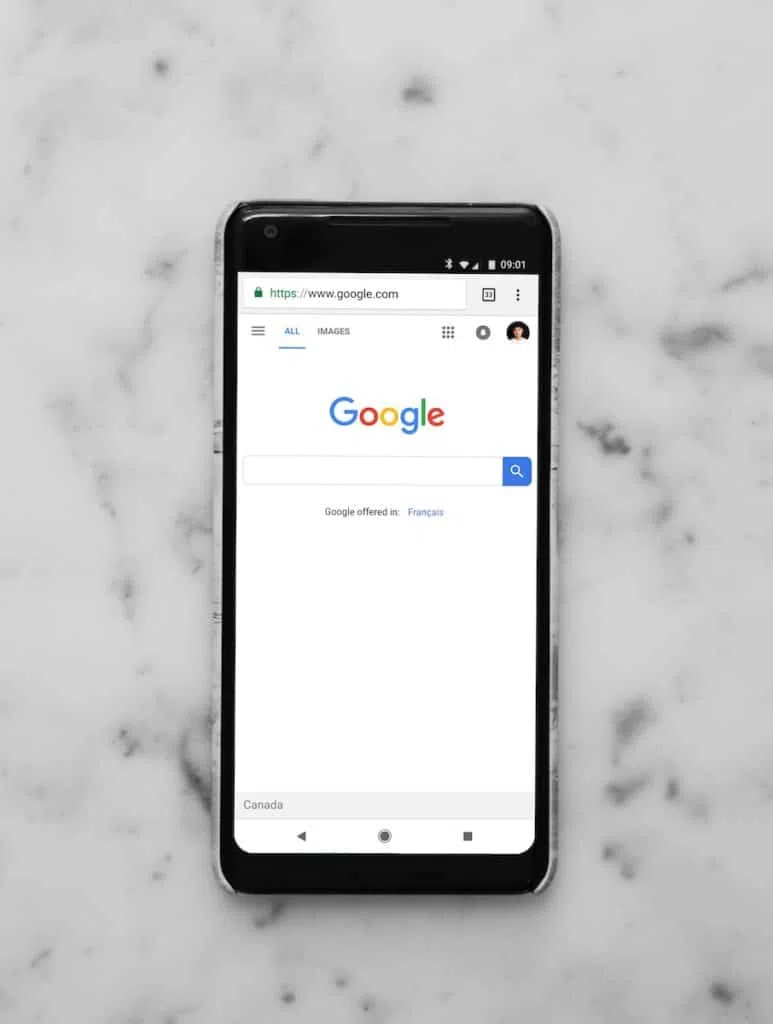 La serp de Google