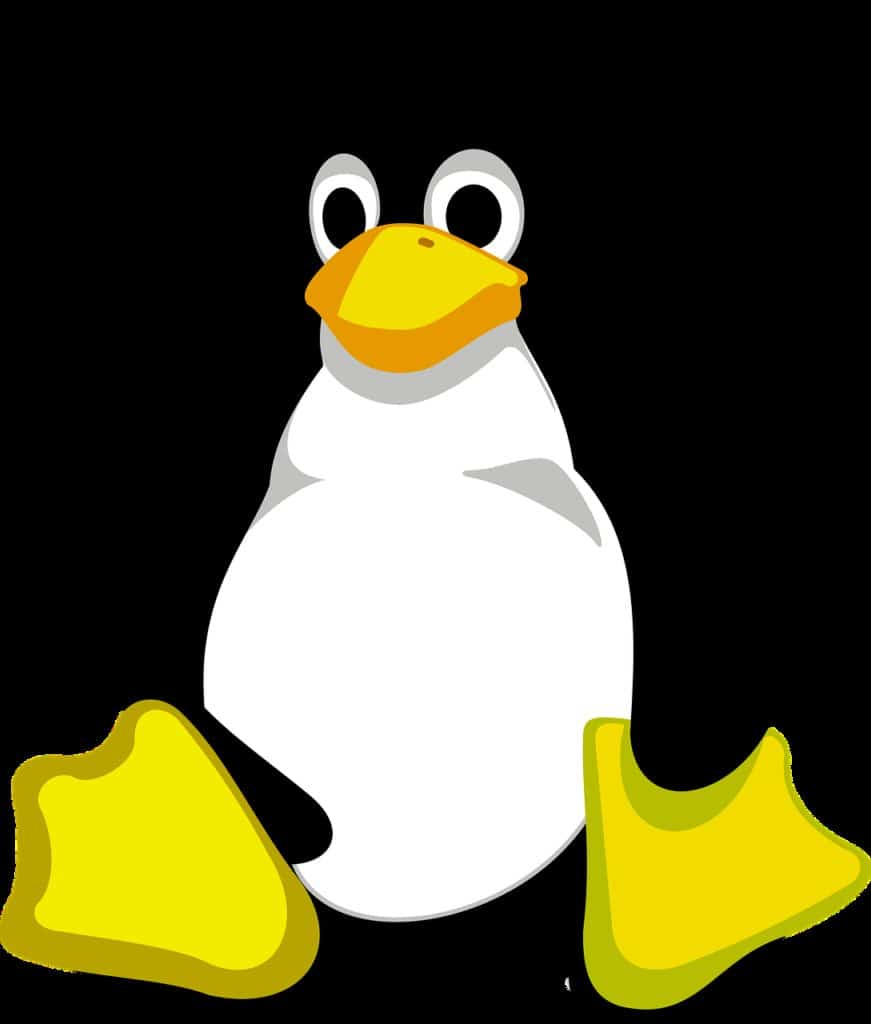 Linux, un symbole de l'open source