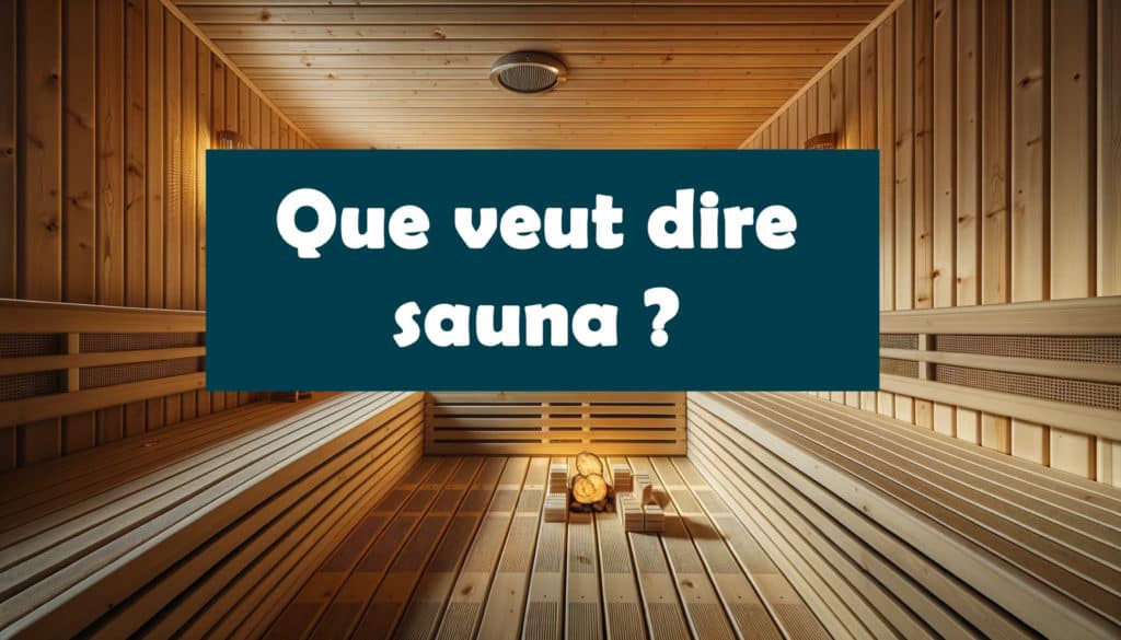 sauna definition