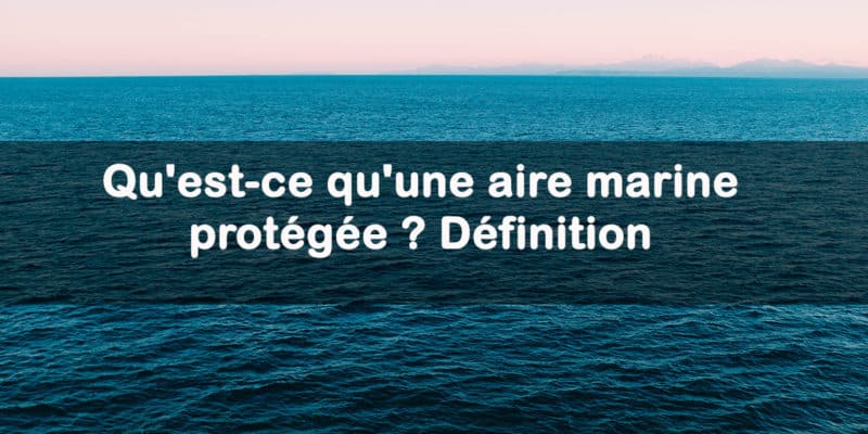 aire marine protegee definition